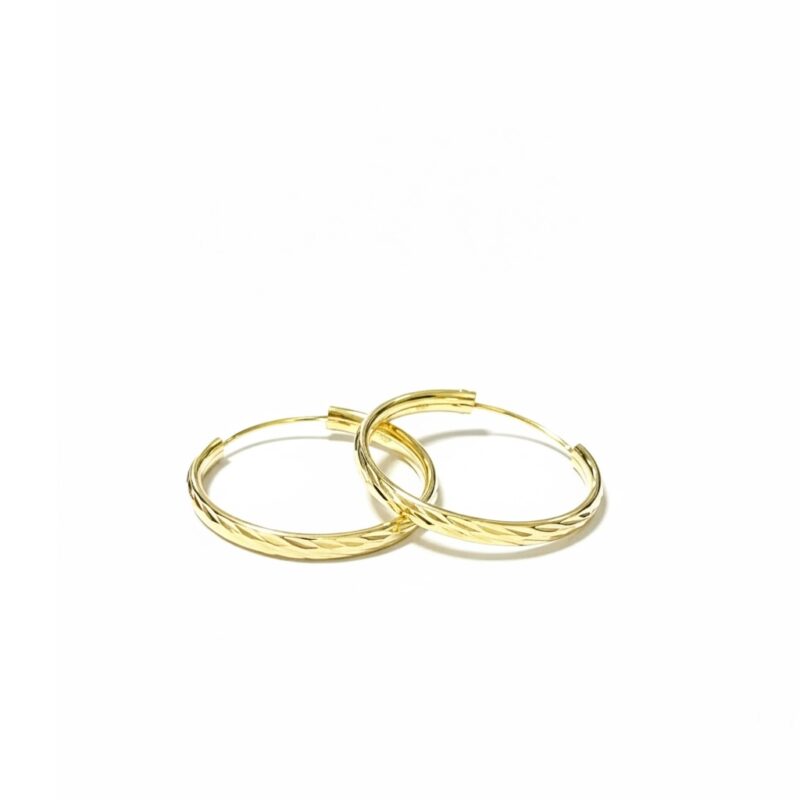 Orecchini cerchietto